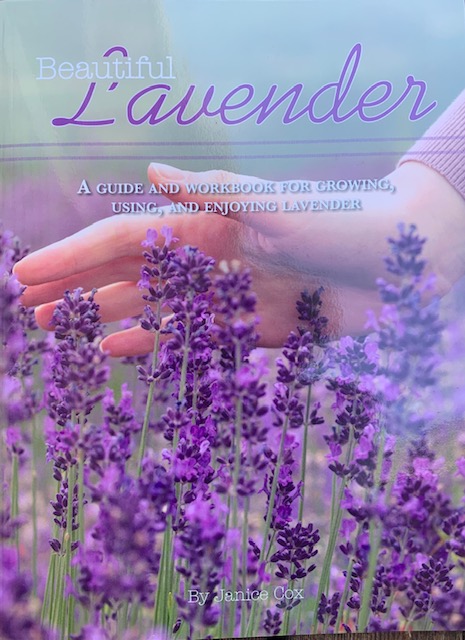 Beautiful Lavender, by Janice Cox